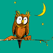 night-night little owl (bluesky)