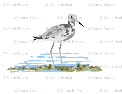 Sea Birds