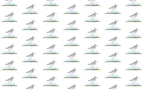 Sea Birds fabric by sewbiznes on Spoonflower - custom fabric