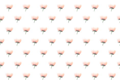 Poppy Love fabric by lesfleursdemimi on Spoonflower - custom fabric