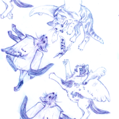 Owllykittens in blue