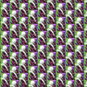 Spider 2 Medium