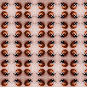 Ladybug 3 Medium