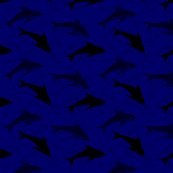 Sharks2_shop_thumb