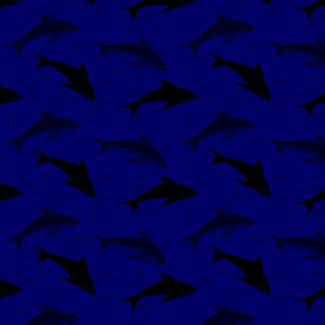sharks in the deep