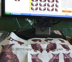 Mini_tuffed_ear_owls_comment_84027_preview