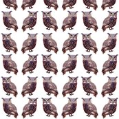 Mini_tuffed_ear_owls_shop_thumb