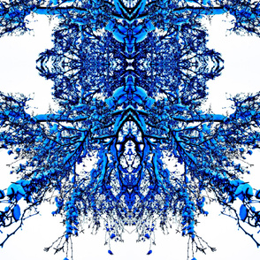 bluewinter