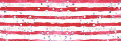 American fireworks