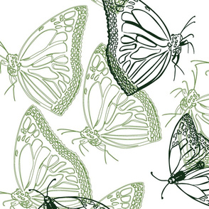butterflyOne2011