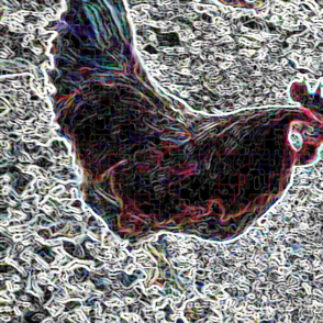 neon_chook2