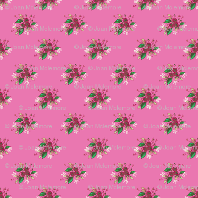 Roses in deep pink
