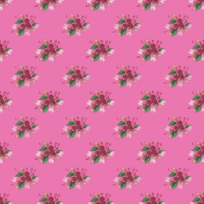Roses in deep pink