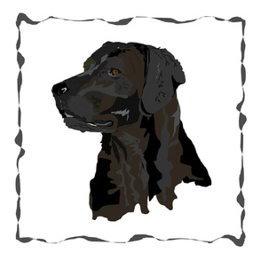 Black Lab Pillow Squares