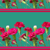 Carnations