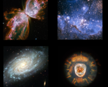 Rhubblepillows_thumb