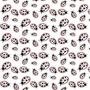 ladybird