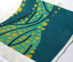 kelp 1
