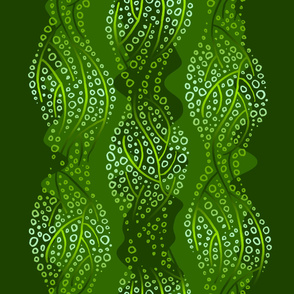 kelp 2