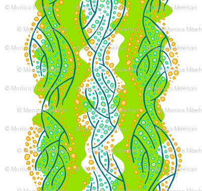 kelp 6