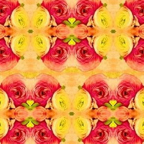 roses_like_maidens_place