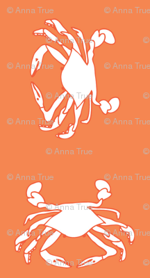 coral crabs