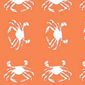 coral crabs