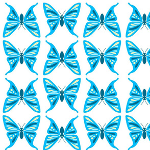 beautiful blue butterflies