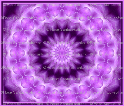 Orchid Kaleidoscope