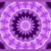 R01-orchid-08g_shop_thumb