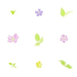 Watercolor Floral Stripes