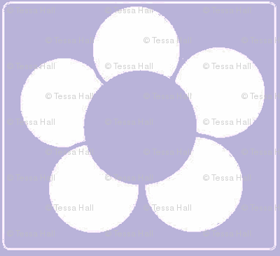 Lavender Daisy-ch