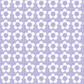 Lavender Daisy-ch