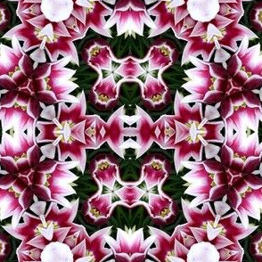 Mixed flowers kaleidoscope #2