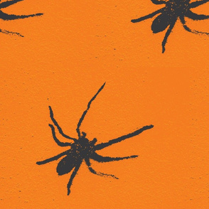 Halloween Spiders at University of Texas