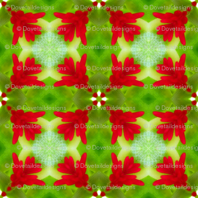Nature's Plaid 1
