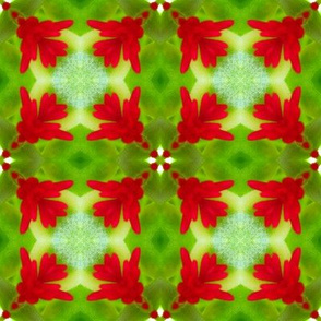 Nature's Plaid 1