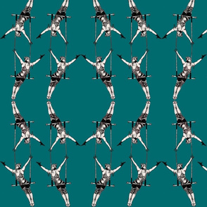 teal trapeze
