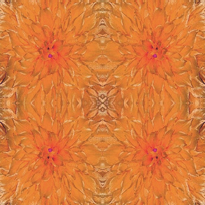 Orange Flower