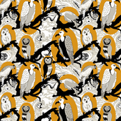Birds of Prey in Black and Orange
