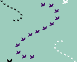 Breezy Birds