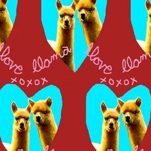 Llama Llove