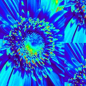 Blue Daisy