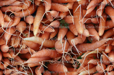 carrots