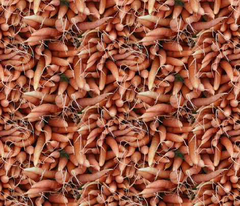 carrots fabric by hannafate on Spoonflower - custom fabric