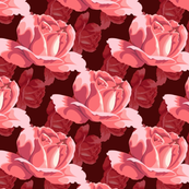 Tiffany roses