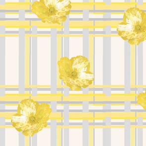 Poppy  on Plaid