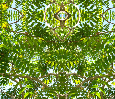 Idyllwild Canopy fabric by painter13 on Spoonflower - custom fabric