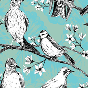 Birdies 