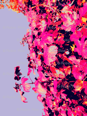 Ivy Beauty